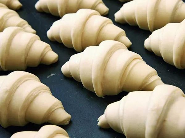 Angel helps you solve the problem about frozen dough technology
