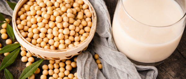 Application of Annzyme® protease in soybean peptide