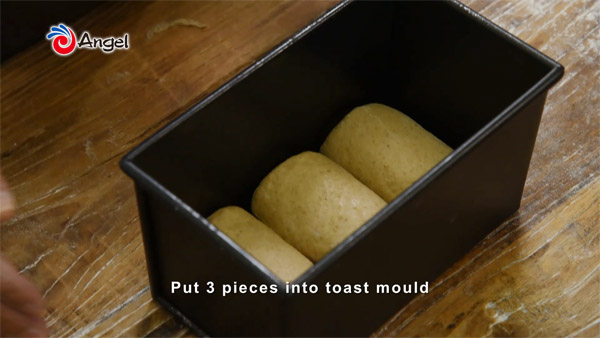 mould.jpg