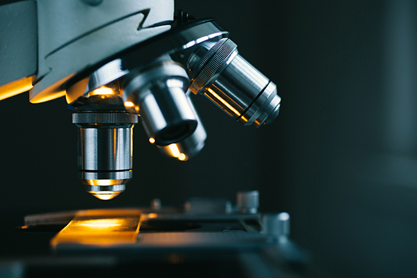 What can contribute to a higher adsorption affinity of YCW?