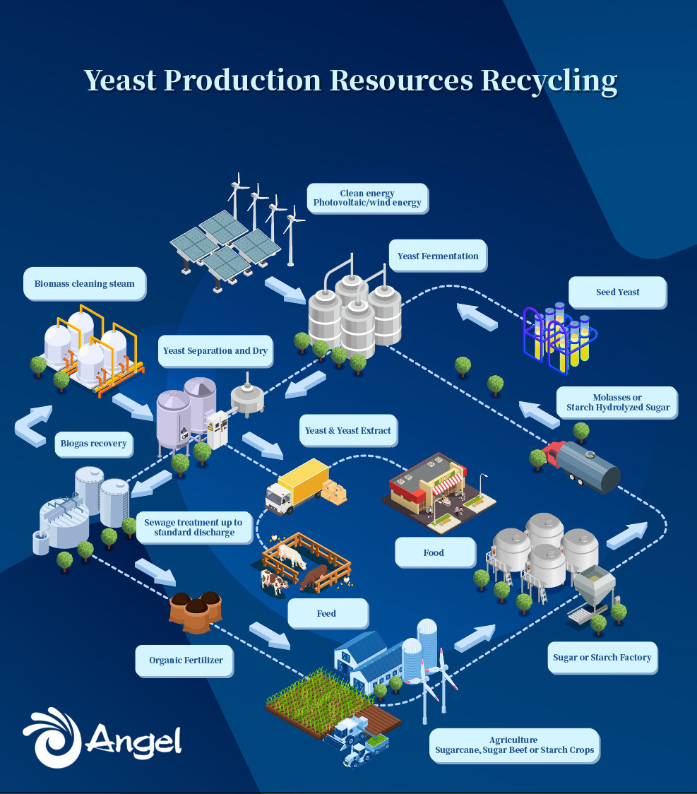 A_blueprint_renewable_powered_microbial_proteins_production.jpg