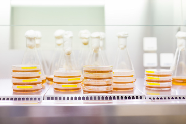 CM06: Characteristics and Applications of Low-Calcium and Low-Magnesium Yeast Extract