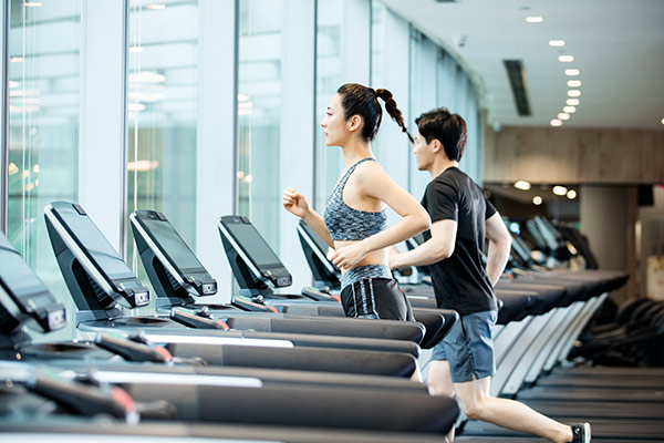 Exploring the Potential of Yeast Protein in Sports Nutrition