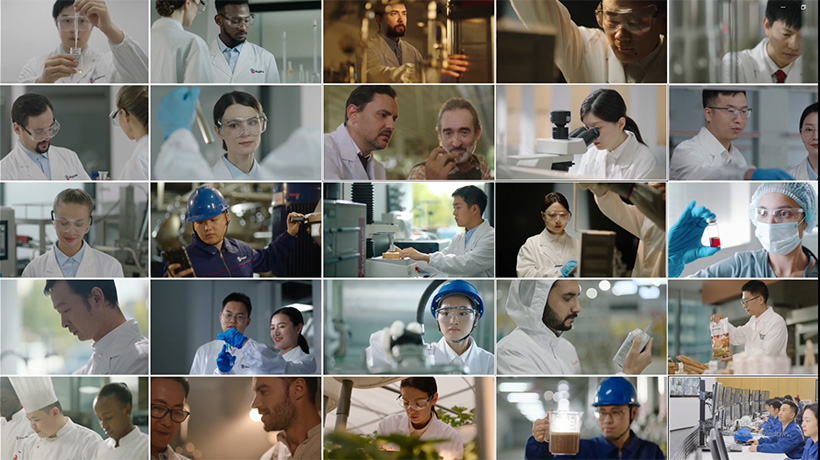 angel-yeast-employees(1).jpg