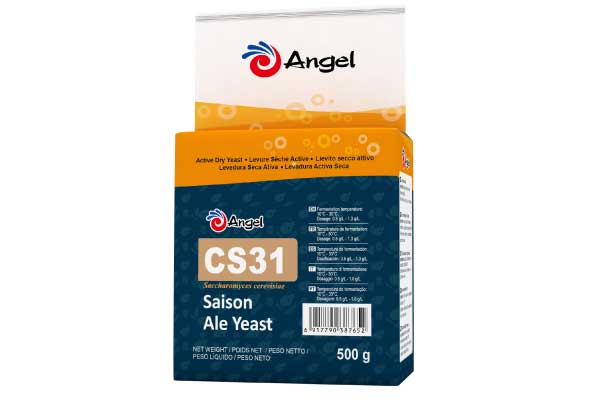 cs31-1.jpg