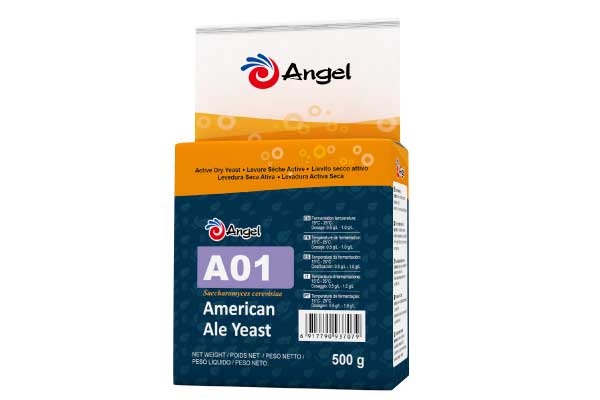 a01-1.jpg