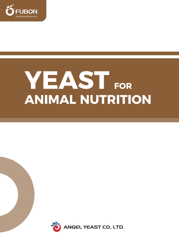 Solutions de levure pour la nutrition animale