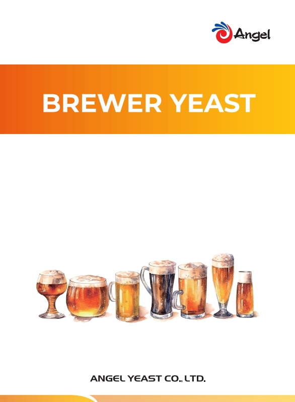 Levure de brasserie et de distillation