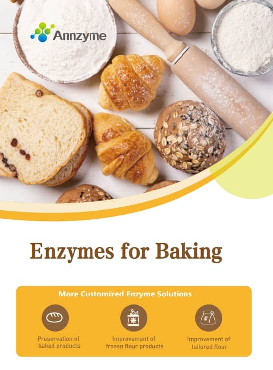 Liste des enzymes de panification