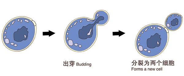 问题5.jpg