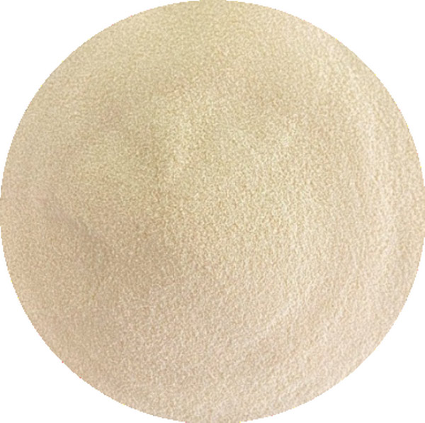 Yeast-glycoside-type-III-morphology.jpg