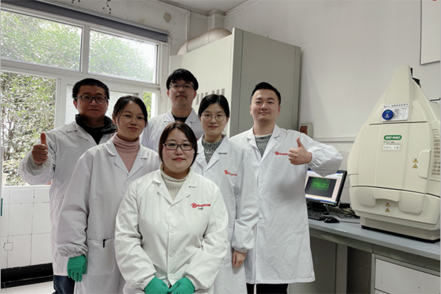 Angel-research-team.jpg