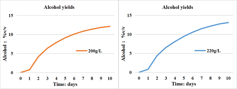 Sugar concentration, 200-220 grams per liter.jpg
