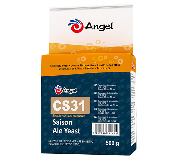 CS31.jpg