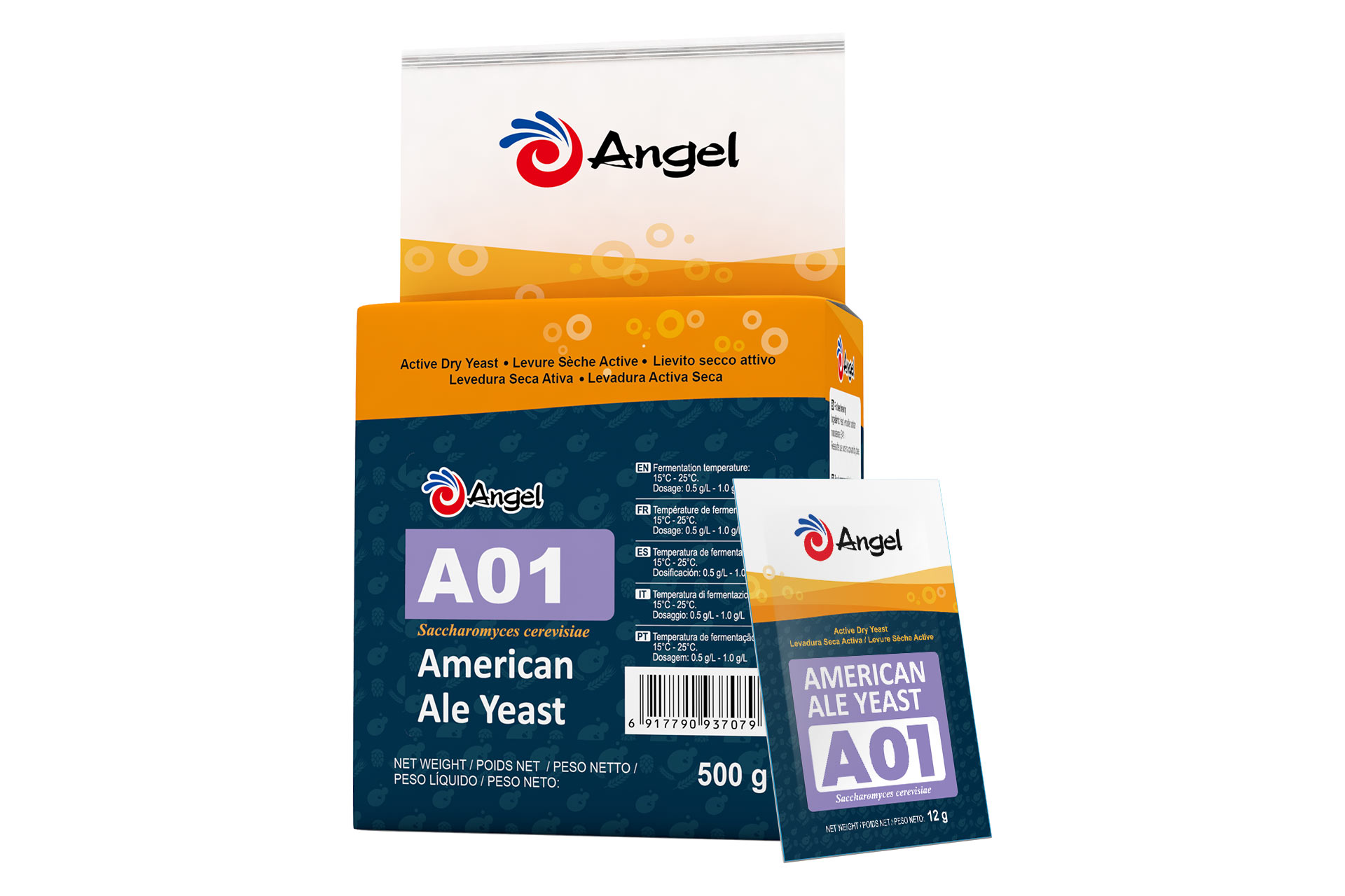 A01.jpg