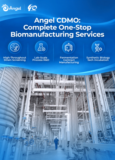 Synthetic Biology CDMO Business